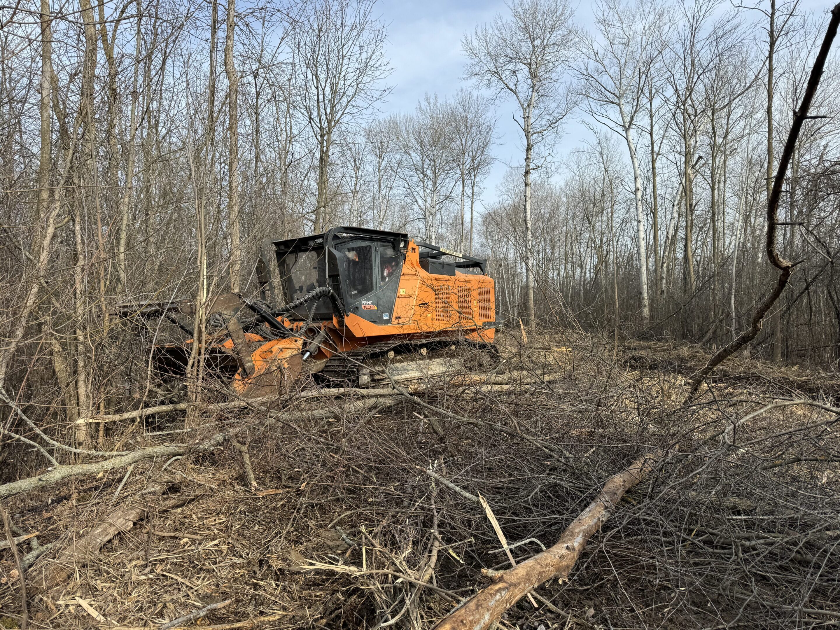 Orange forestry mulcher clearing a wooded area
